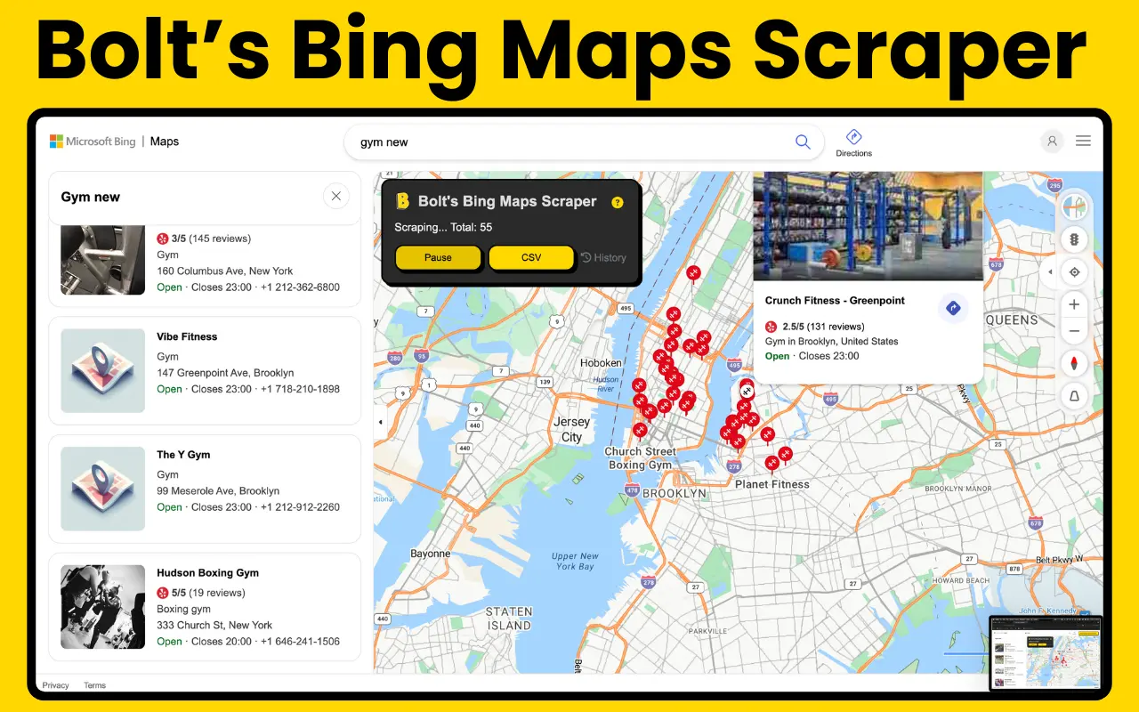 Bing Maps Scraper Interface